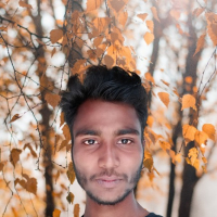 Abubokor Boss