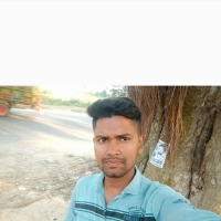 01303981610