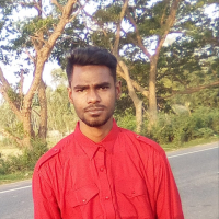 Pulok hasan