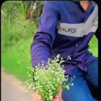 biswojit6t9