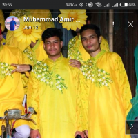 Muhammad Amir Hamjah