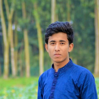 Ahsanul haque Arif