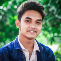 ALOK Roy ALOK