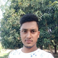 Md Arif Rhaman