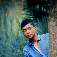 hasib hassan