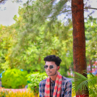 M2o@@@hon