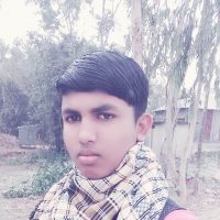 halim42546
