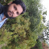 mirza mishu