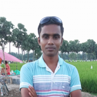 Arif Foysal