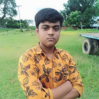 Rasidol