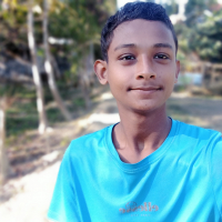 MD salman hussain