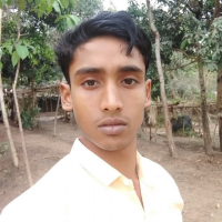 mdalamin Ahmed 7867