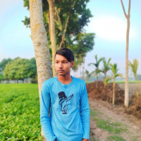 Ayat hossen