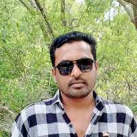 mamun5683