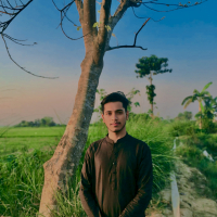 abdur rahman 2011