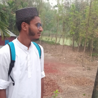 Md.Labib All Hathy
