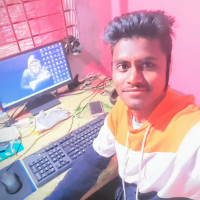 Freelancer Raju
