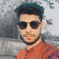 Robiul islam rupu