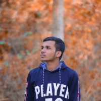 Md Israfil hosen