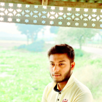 shamim0744