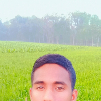 Sakib R