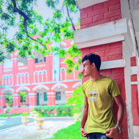 MD salin hosain