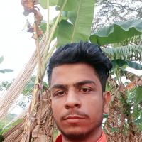 mijan117