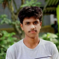 BD Rowels