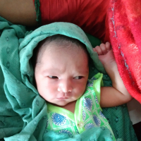 bdsumon