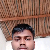 ভালো বাসার লাল গোলাপ