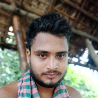 ibrahim hosen habib