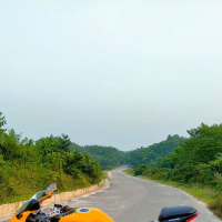 rubel213