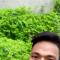 suvo1397