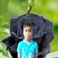 Hassain mollik