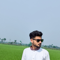 tanveerzs