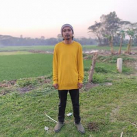Robiul Awaul Rony