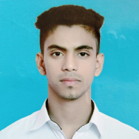 ahsun habib
