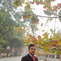 MD.Robiul karim BSC
