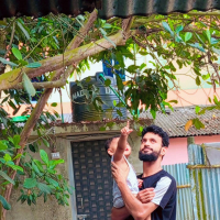 (S♥️F)faruq Mojumdar