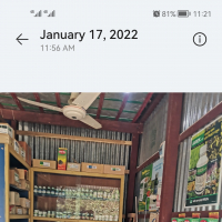 মারজানা