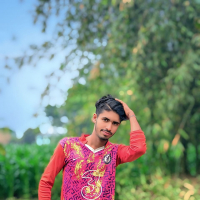 Ferdous vai