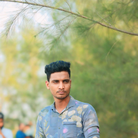 MD: parvez Ali