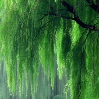 মনিৱুল ইসলাম