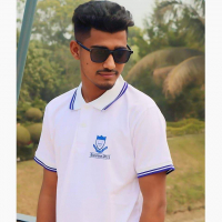 Najmul sarker