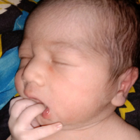 Jsm jakir