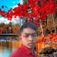 .Md shahin Alom