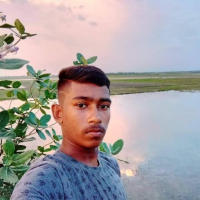 Bulu begum