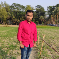 Md. Nur Alam Mollah
