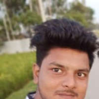 MD. ROBIN MIAH