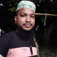 01736026286